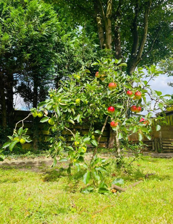 Carlibar Villa Barrhead Dış mekan fotoğraf